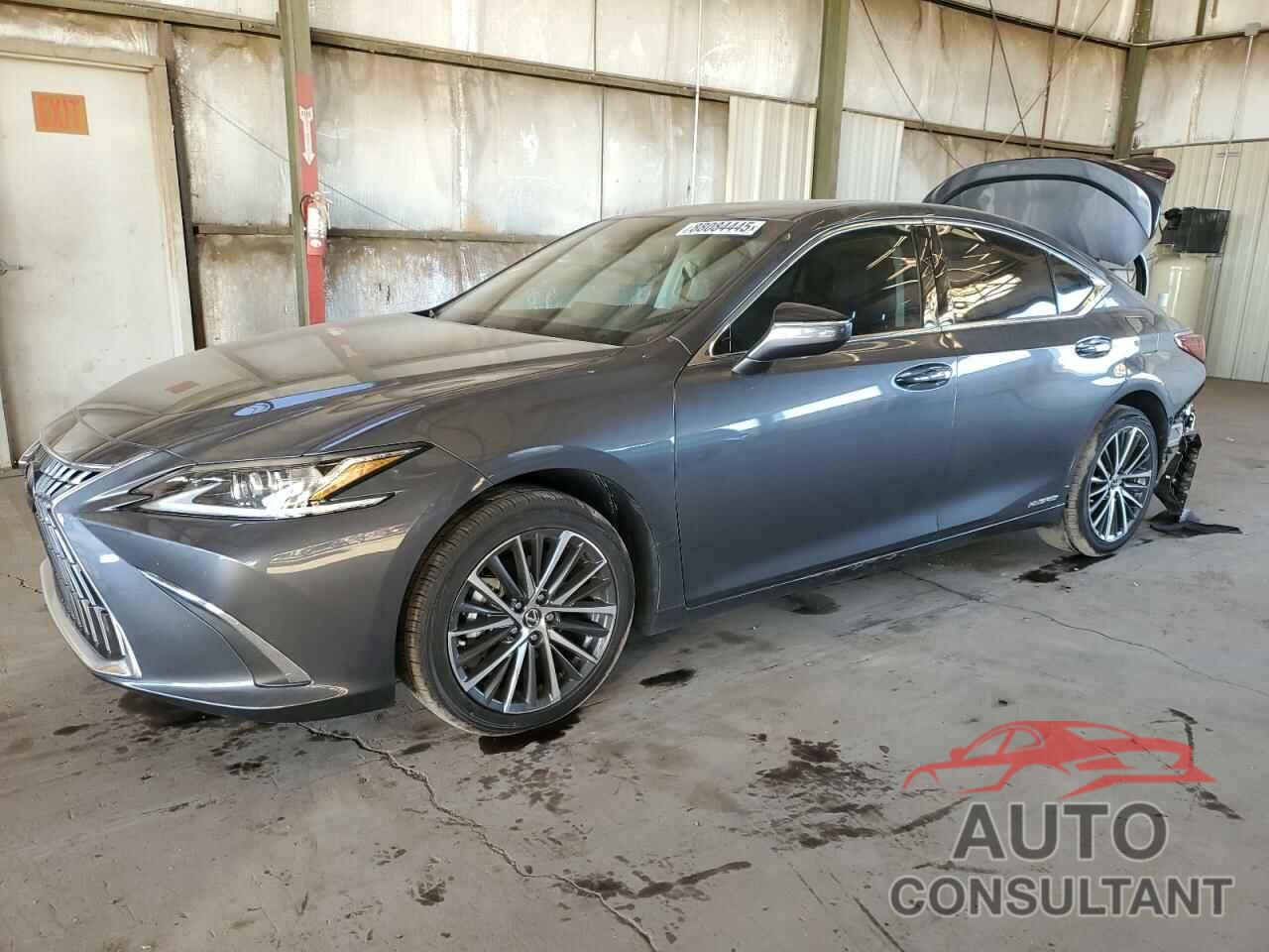 LEXUS ES300 2022 - 58ADA1C18NU015956