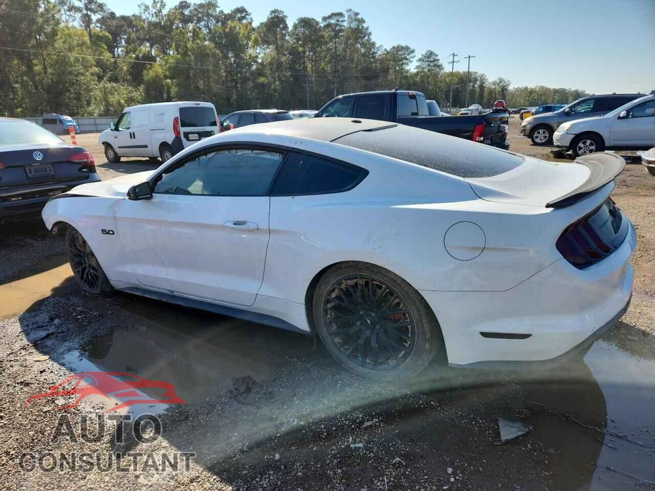 FORD MUSTANG 2019 - 1FA6P8CF0K5151663