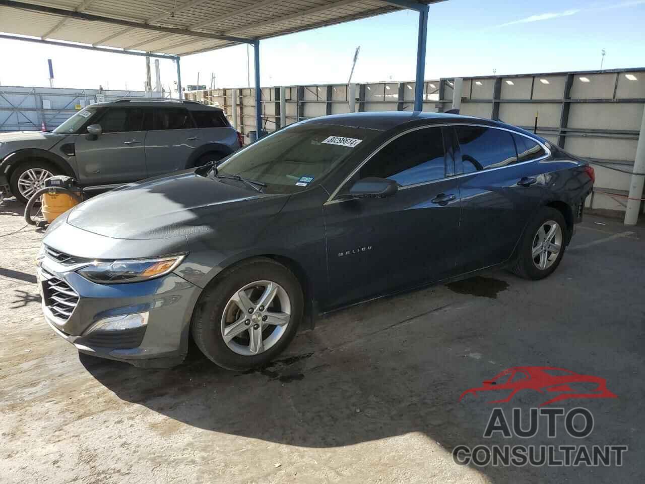 CHEVROLET MALIBU 2019 - 1G1ZB5ST7KF206608