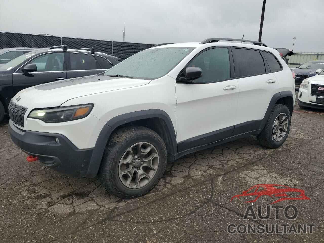 JEEP CHEROKEE 2020 - 1C4PJMBX1LD517804