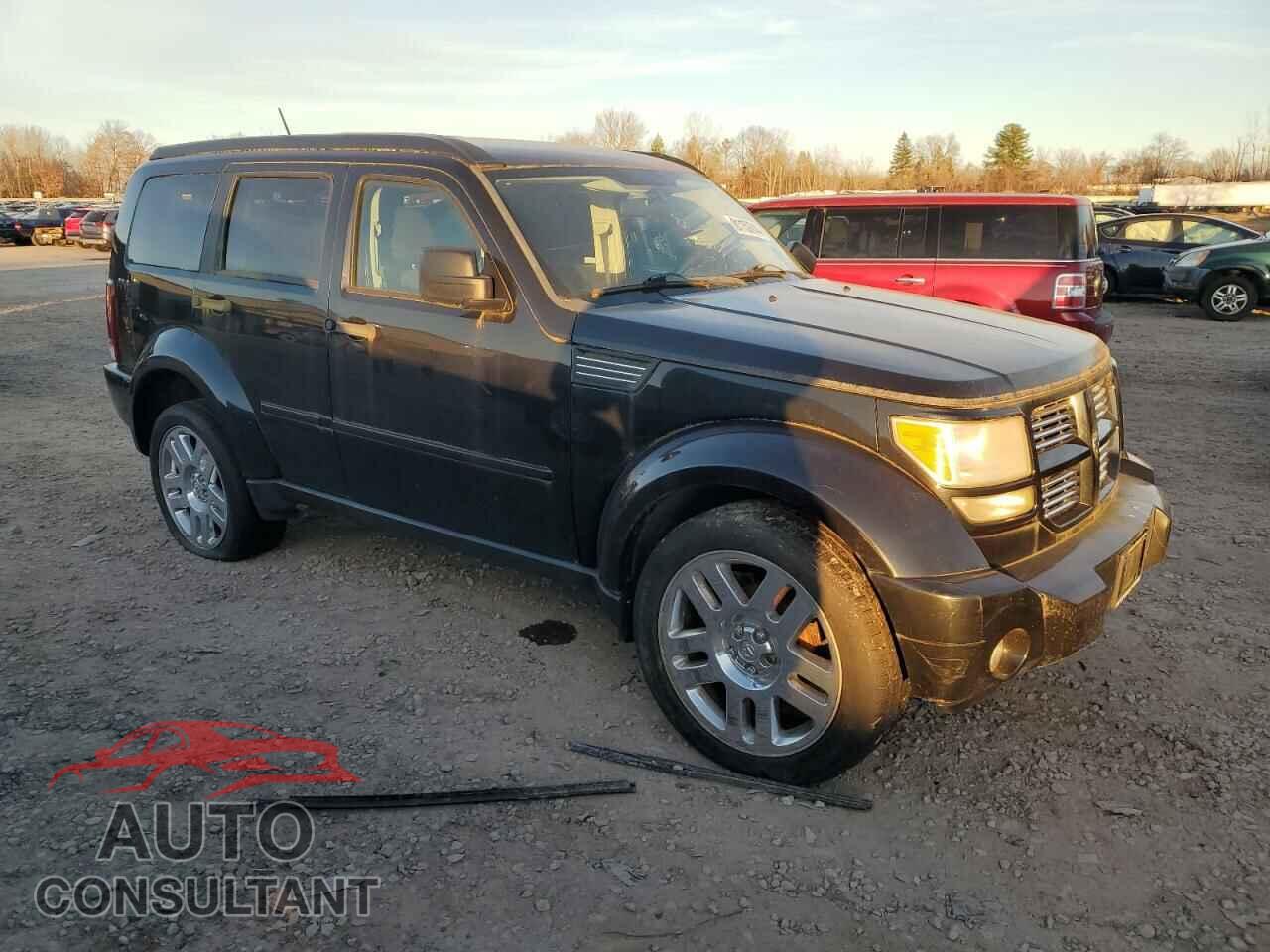 DODGE NITRO 2010 - 1D4PU4GK7AW157348