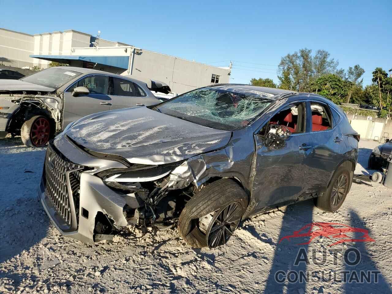 LEXUS NX 250 PRE 2024 - 2T2GDCAZ6RC009155
