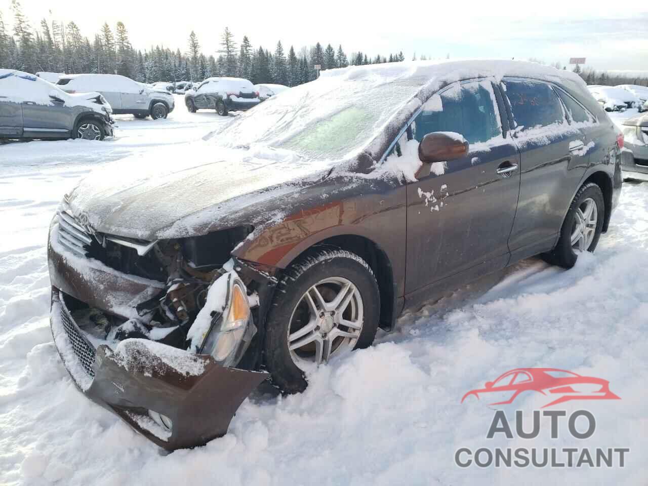 TOYOTA VENZA 2009 - 4T3BK11A59U004635
