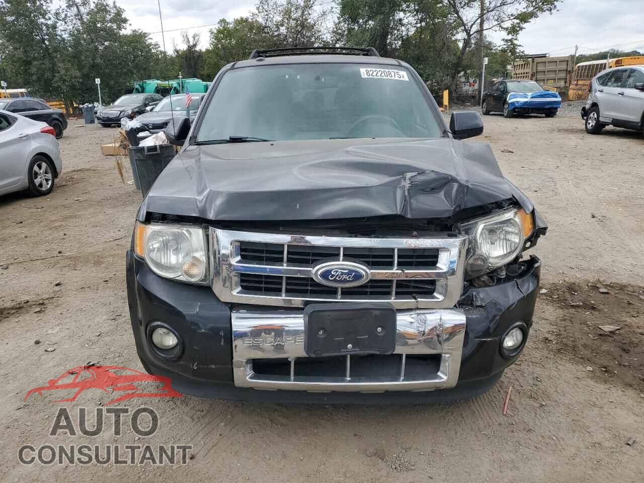 FORD ESCAPE 2011 - 1FMCU9EG1BKA03651