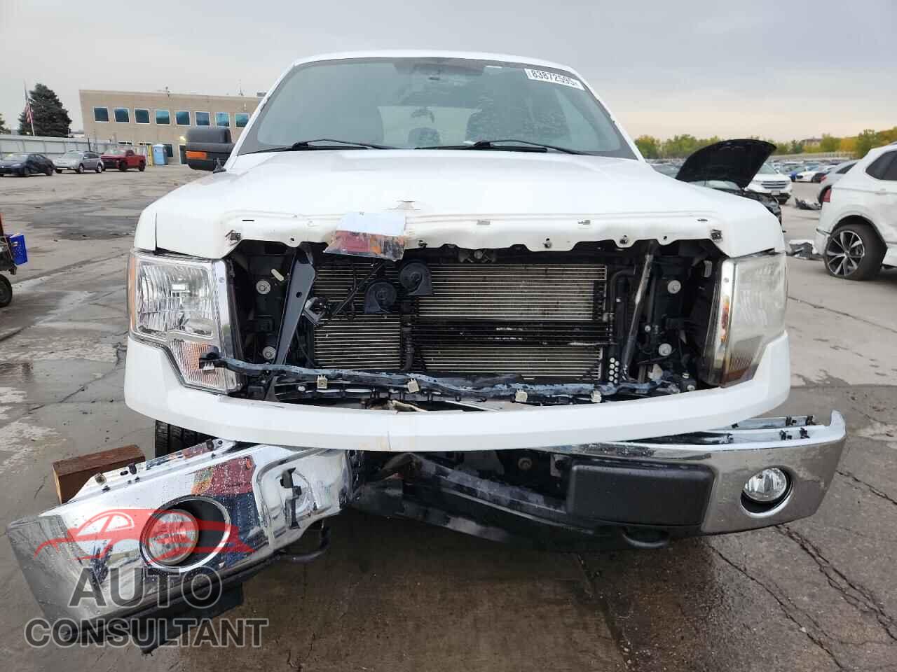 FORD F-150 2011 - 1FTFW1EF1BKD06255