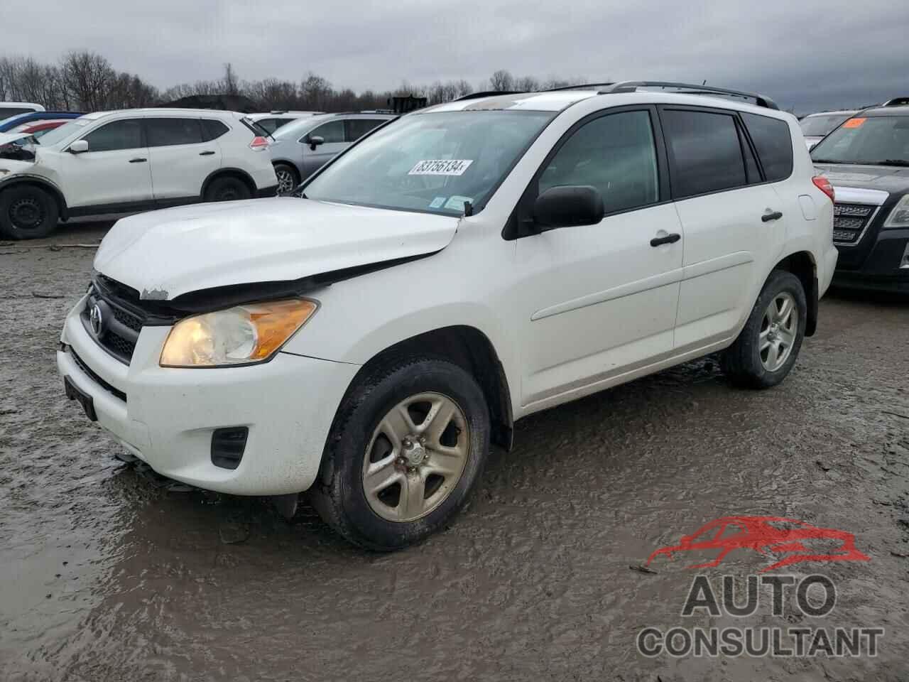 TOYOTA RAV4 2011 - 2T3BF4DV2BW136634