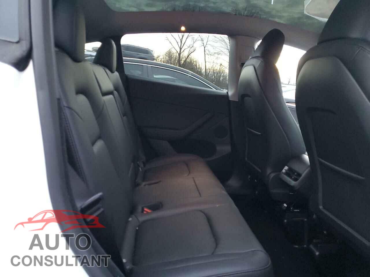 TESLA MODEL Y 2024 - 7SAYGDED2RF159699