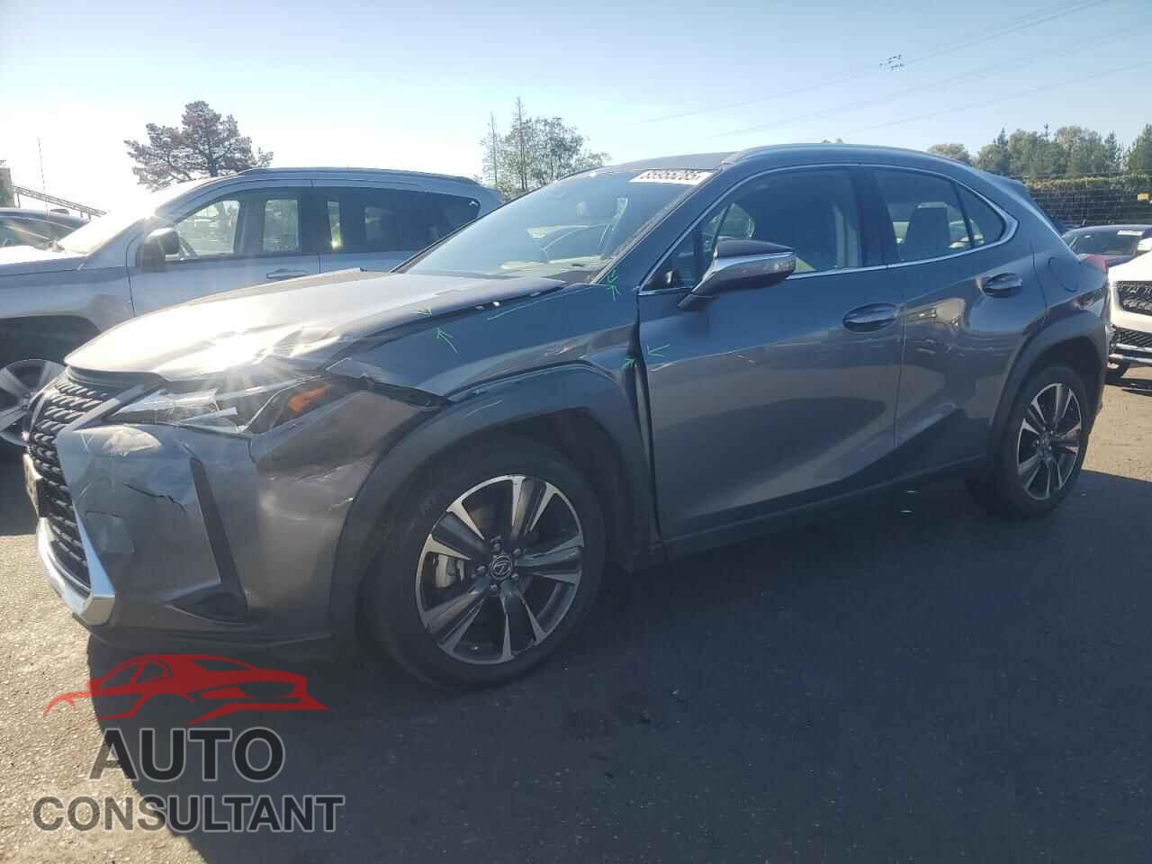 LEXUS UX 200 2019 - JTHY3JBH6K2016521