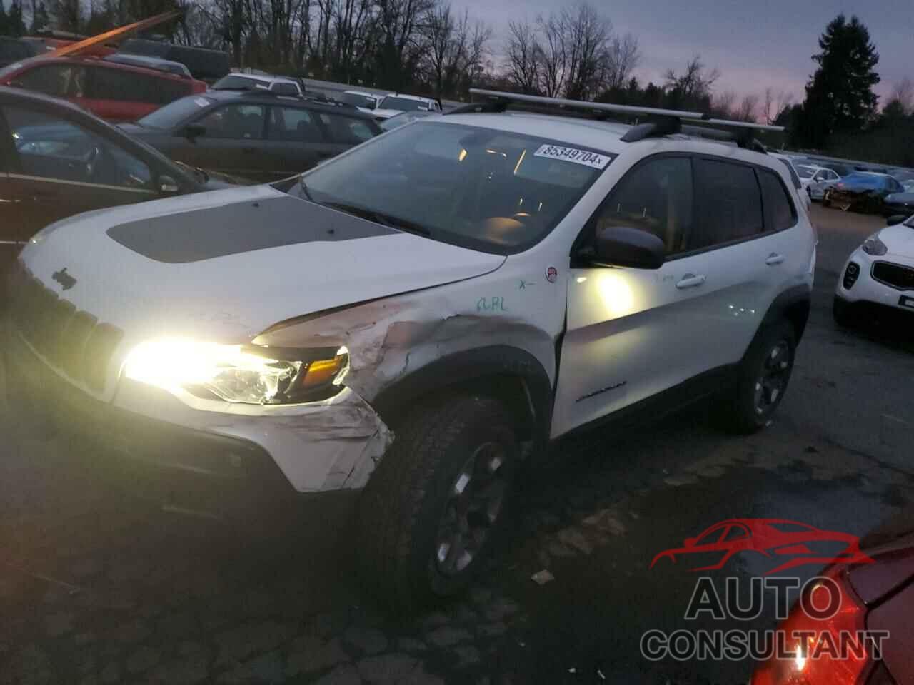 JEEP CHEROKEE 2019 - 1C4PJMBX5KD102046