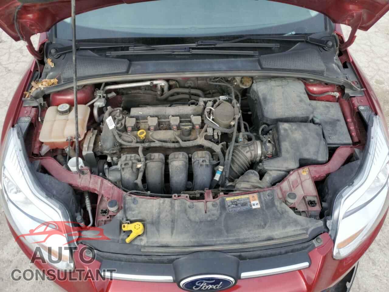 FORD FOCUS 2013 - 1FADP3F20DL313406