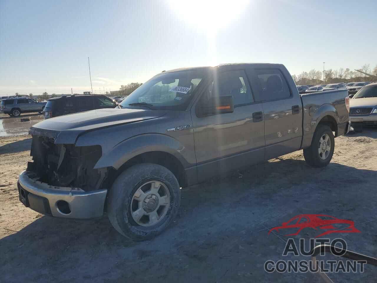 FORD F-150 2010 - 1FTEW1C84AKE58366