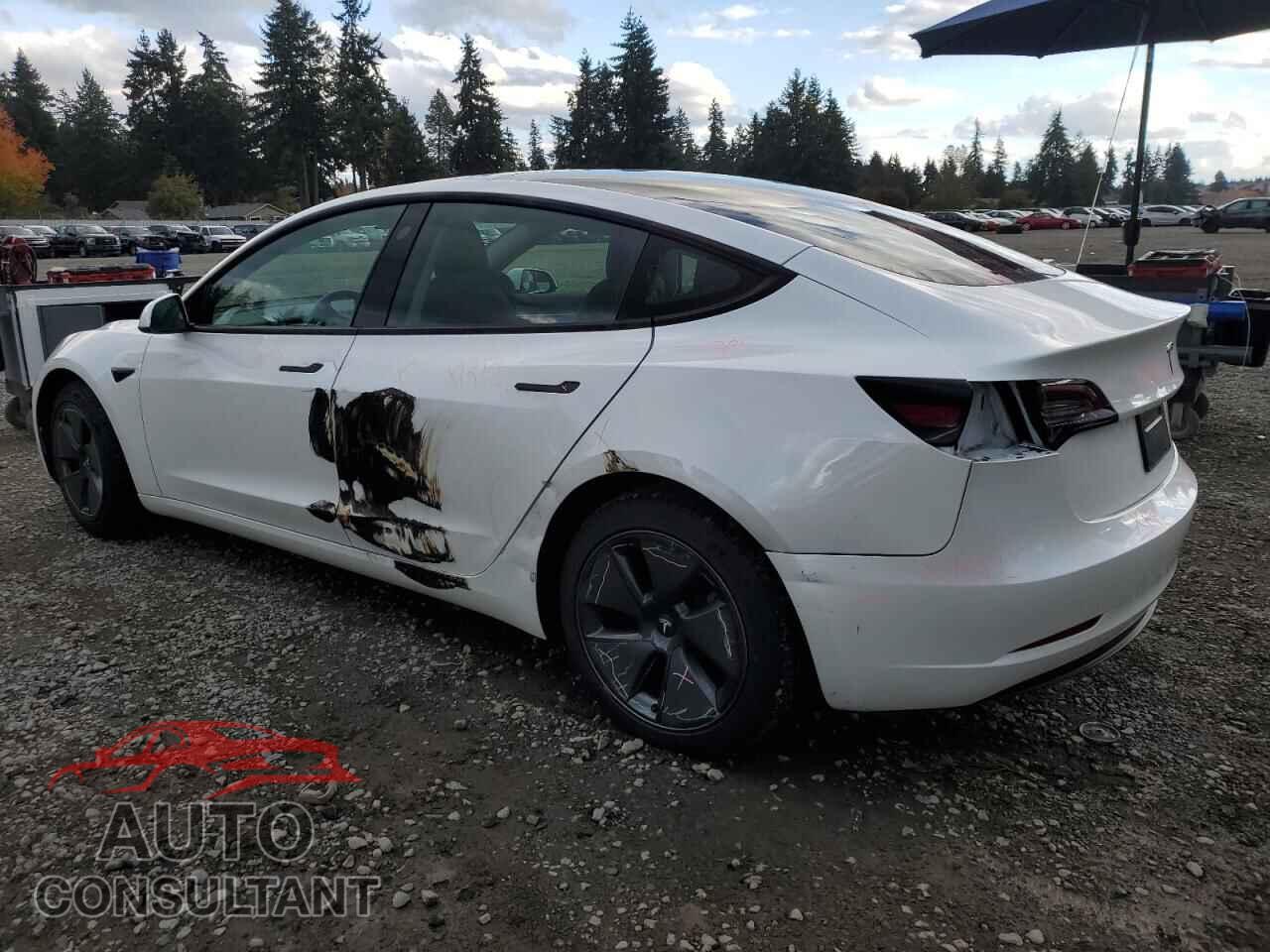 TESLA MODEL 3 2023 - 5YJ3E1EA7PF464842