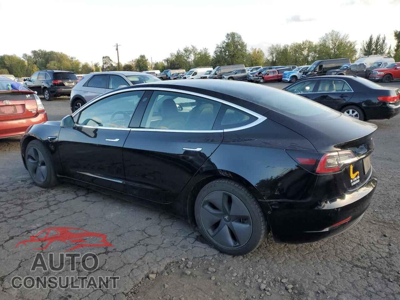 TESLA MODEL 3 2019 - 5YJ3E1EA2KF361918