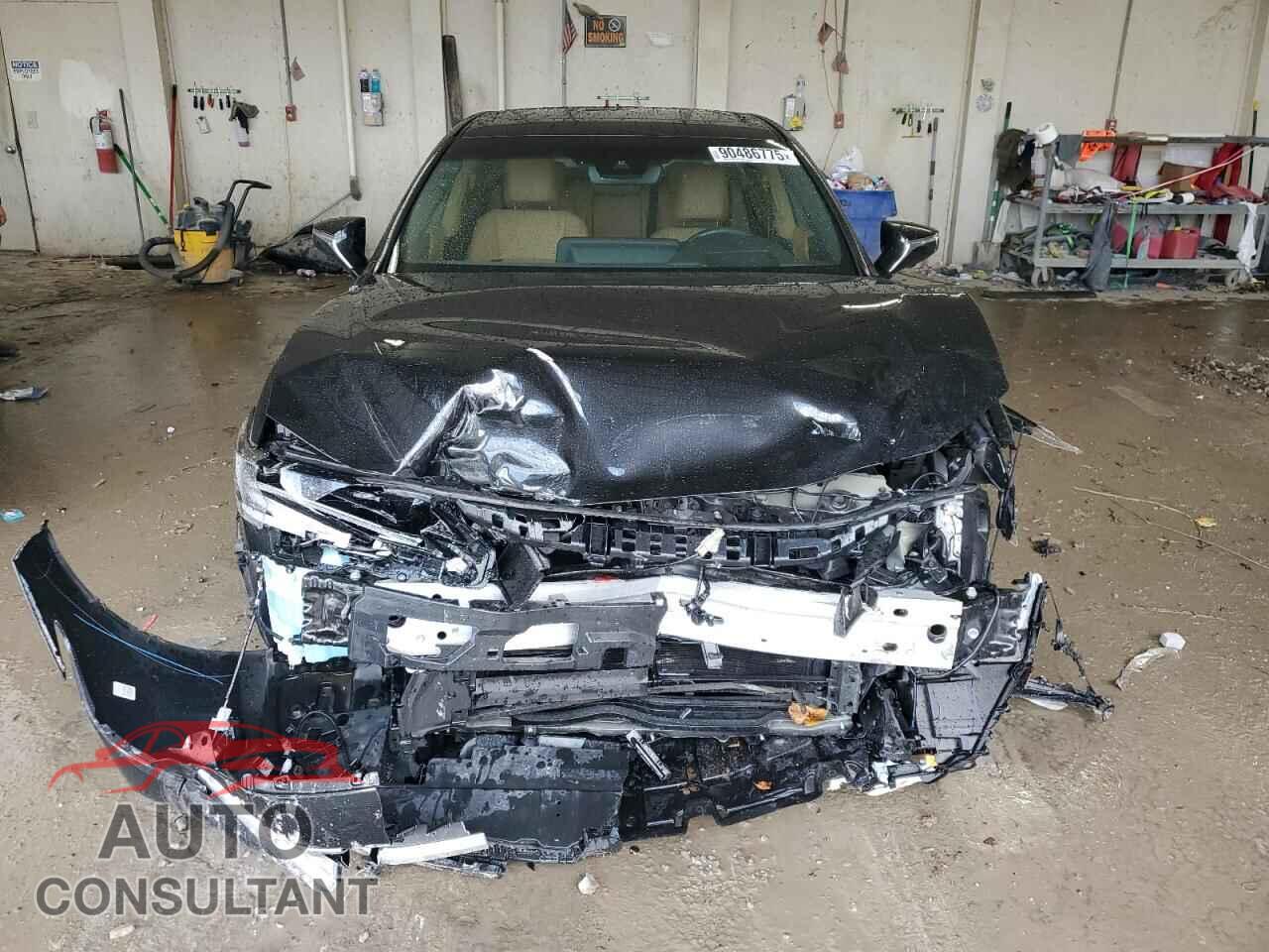 LEXUS ES300 2024 - 58AFA1C12RU052015
