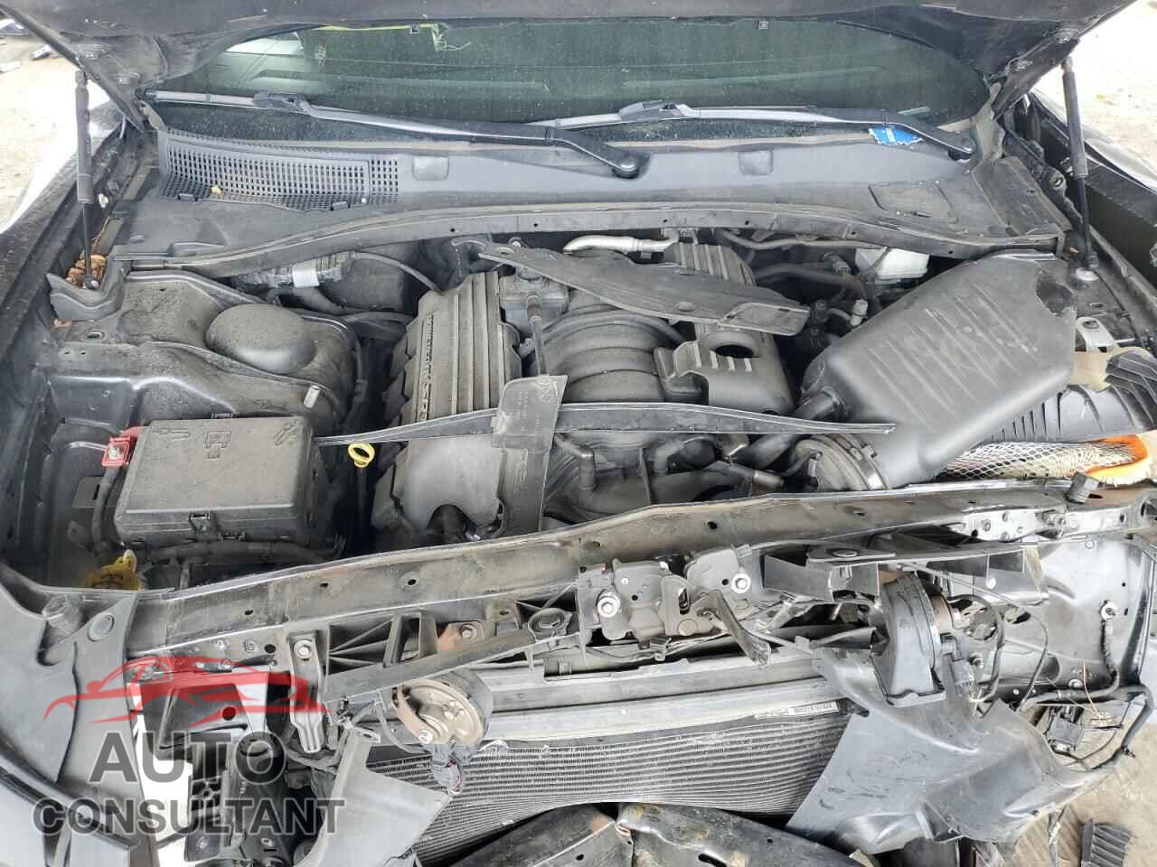 DODGE CHARGER 2019 - 2C3CDXGJ3KH661842