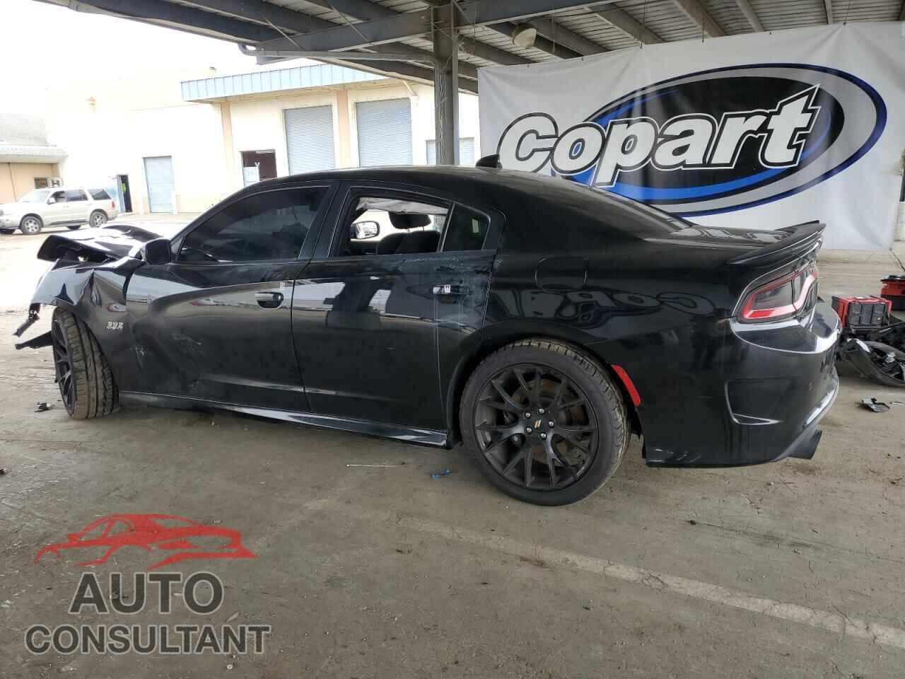 DODGE CHARGER 2019 - 2C3CDXGJ3KH661842
