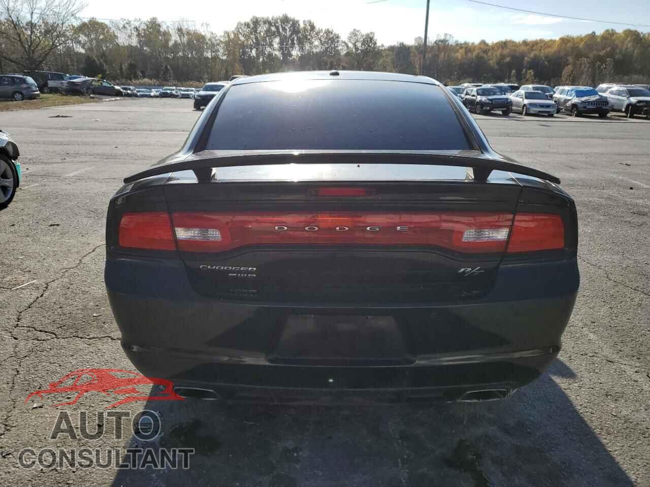 DODGE CHARGER 2014 - 2C3CDXDT3EH116377