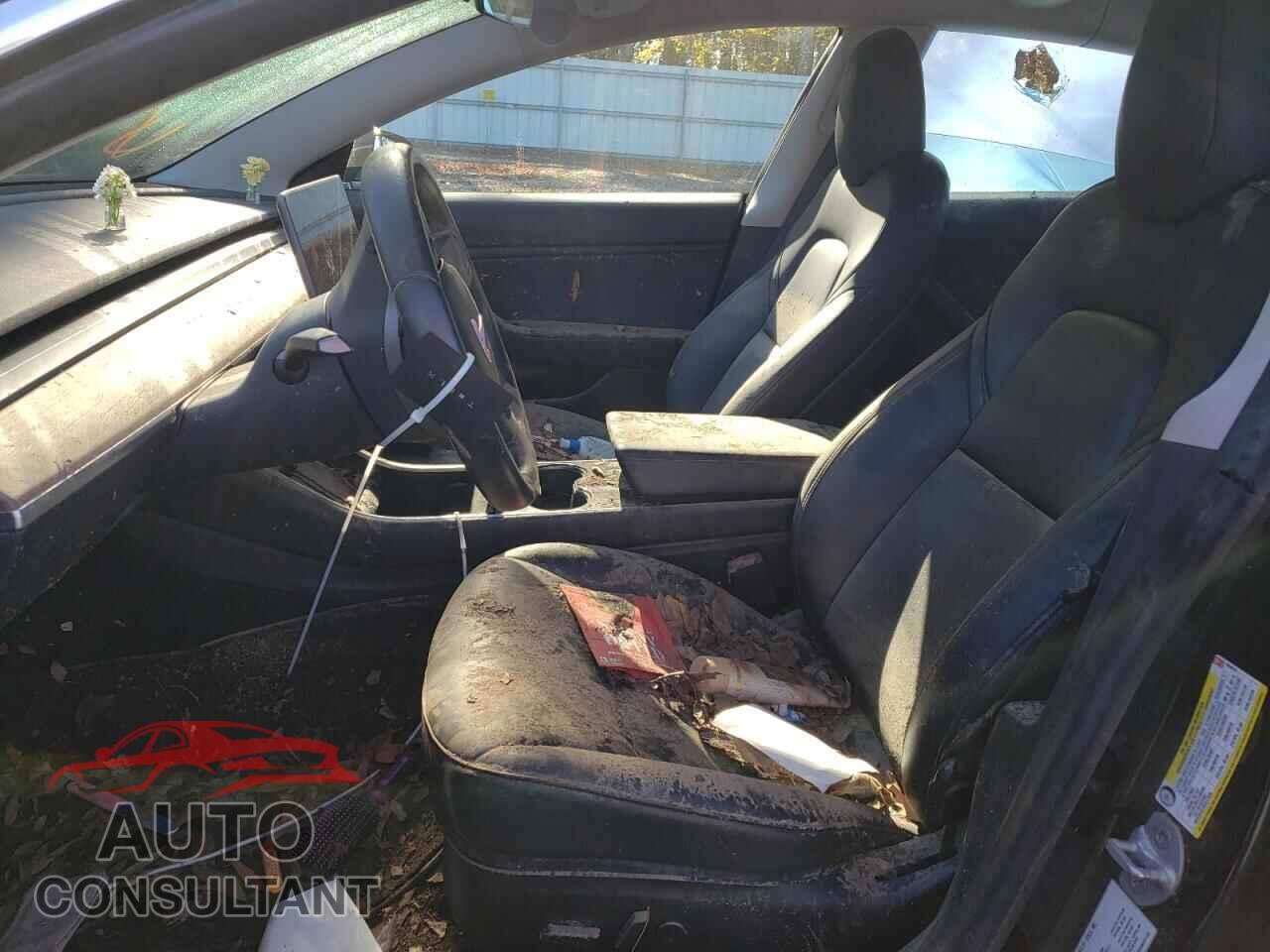 TESLA MODEL 3 2019 - 5YJ3E1EA1KF394635