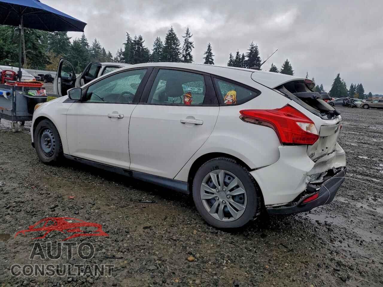 FORD FOCUS 2012 - 1FAHP3K24CL334636