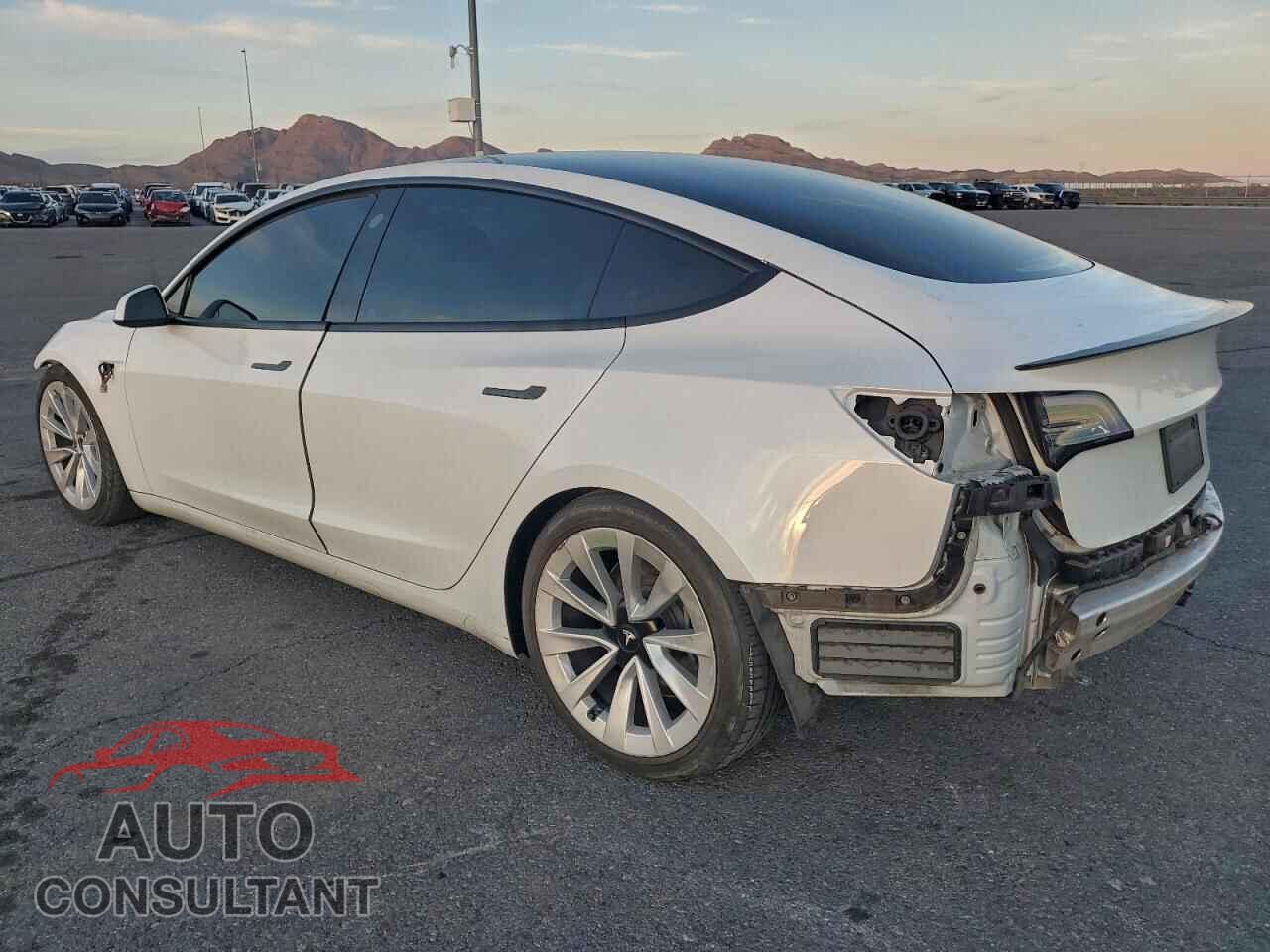 TESLA MODEL 3 2021 - 5YJ3E1EA1MF874788