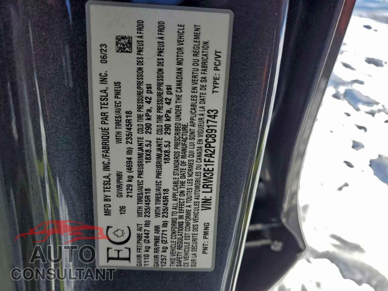 TESLA MODEL 3 2023 - LRW3E1FA2PC891743