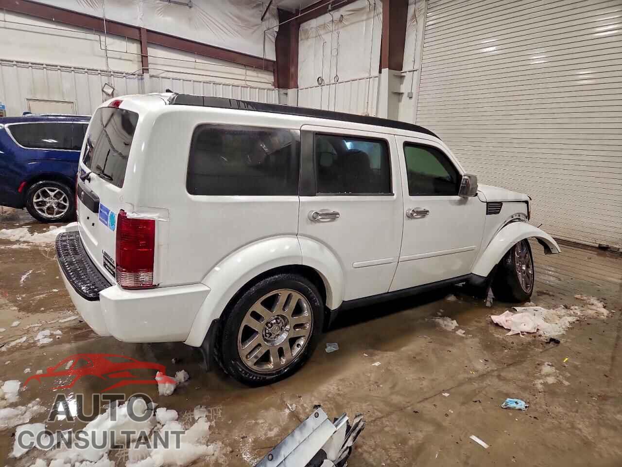 DODGE NITRO 2011 - 1D4PU4GK6BW601448