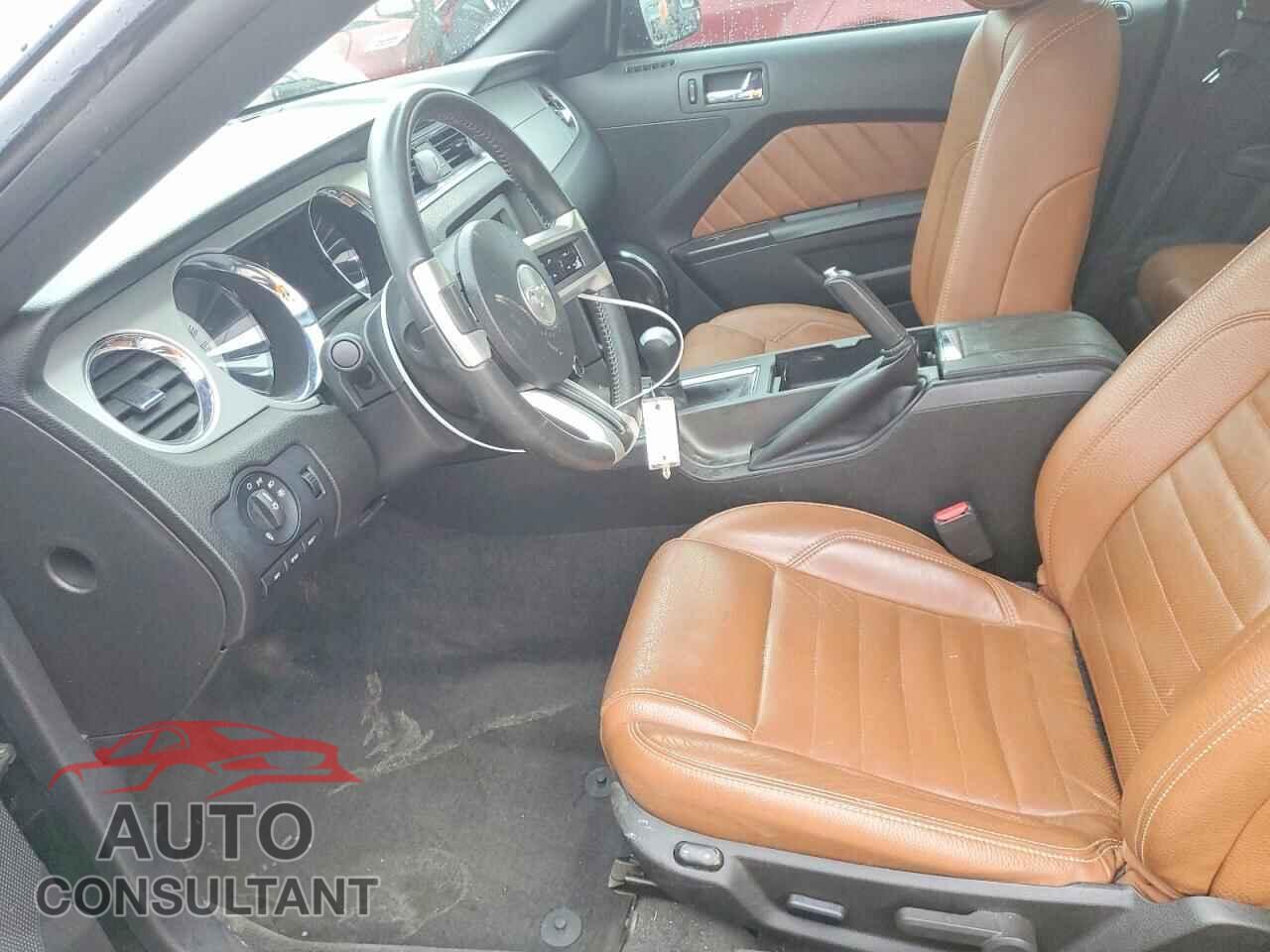 FORD MUSTANG 2011 - 1ZVBP8CF2B5151542