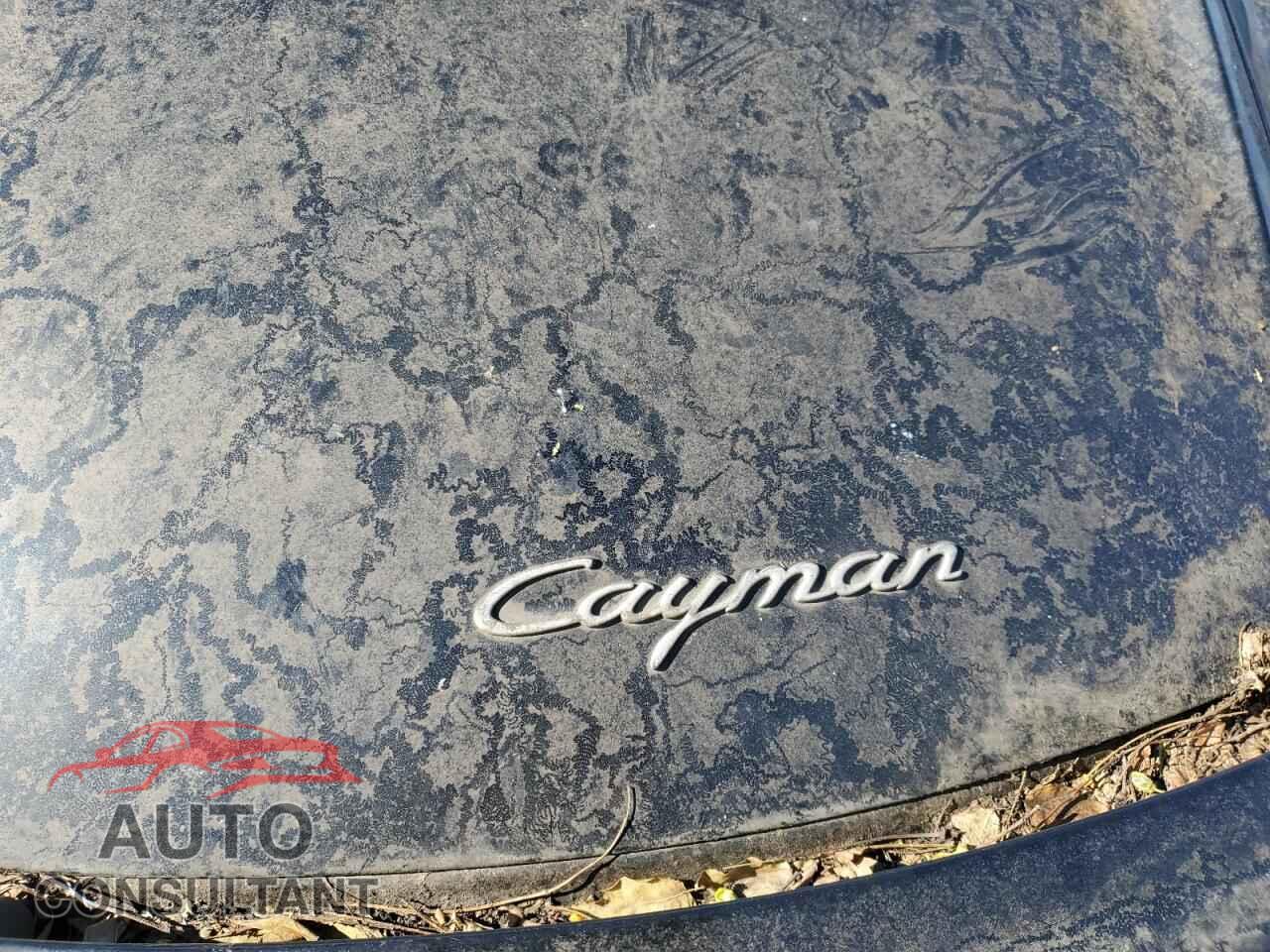 PORSCHE CAYMAN 2009 - WP0AA29859U760162