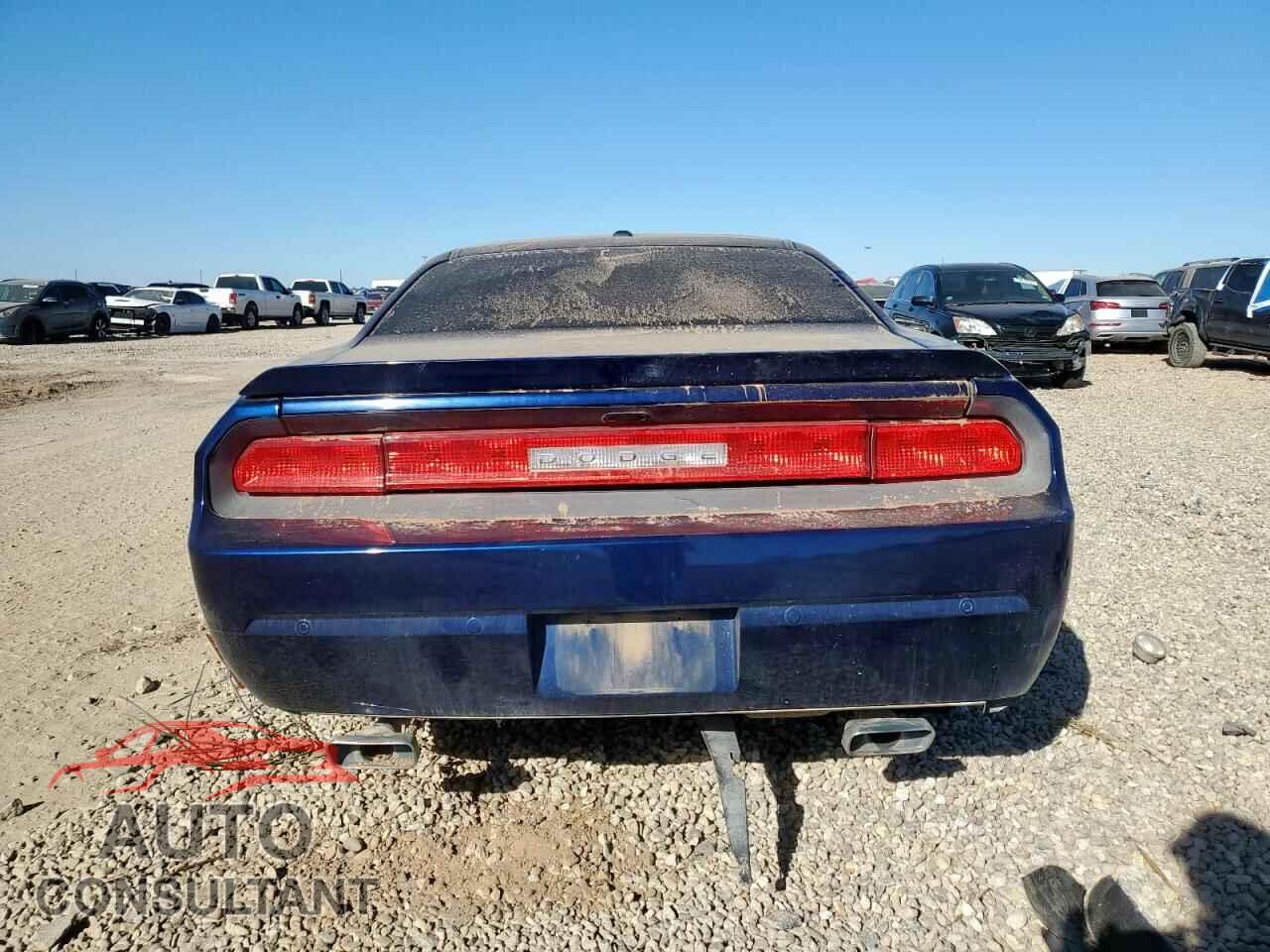 DODGE CHALLENGER 2013 - 2C3CDYBT7DH695803