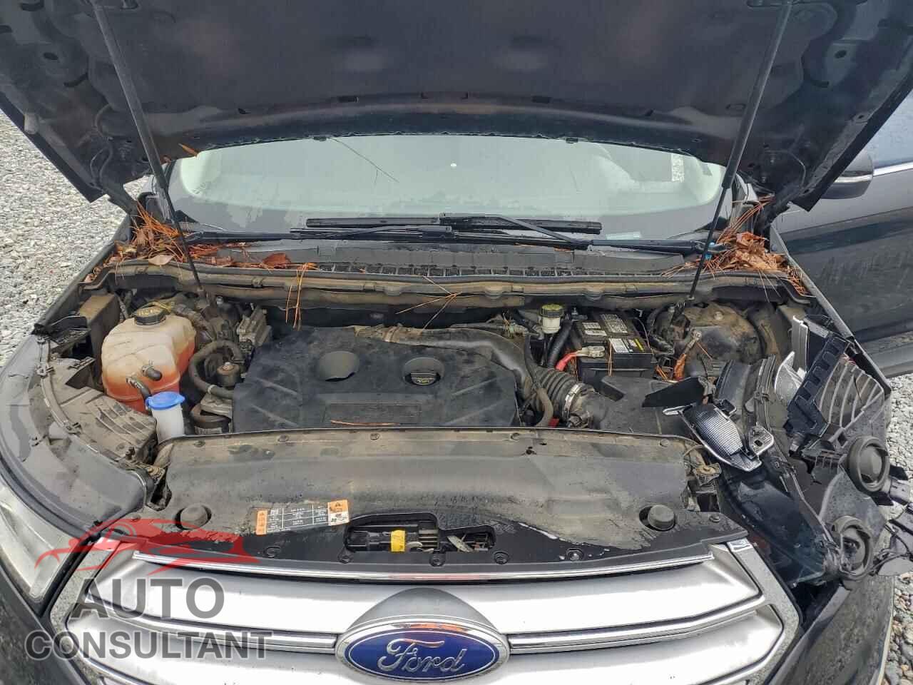 FORD EDGE 2015 - 2FMTK3J90FBB11494