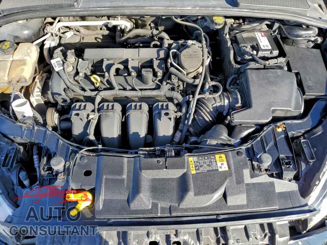 FORD FOCUS 2016 - 1FADP3F22GL292448