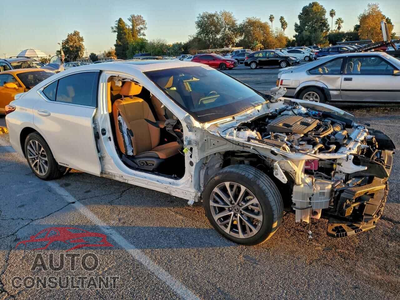 LEXUS ES300 2022 - 58ACA1C10NU025070