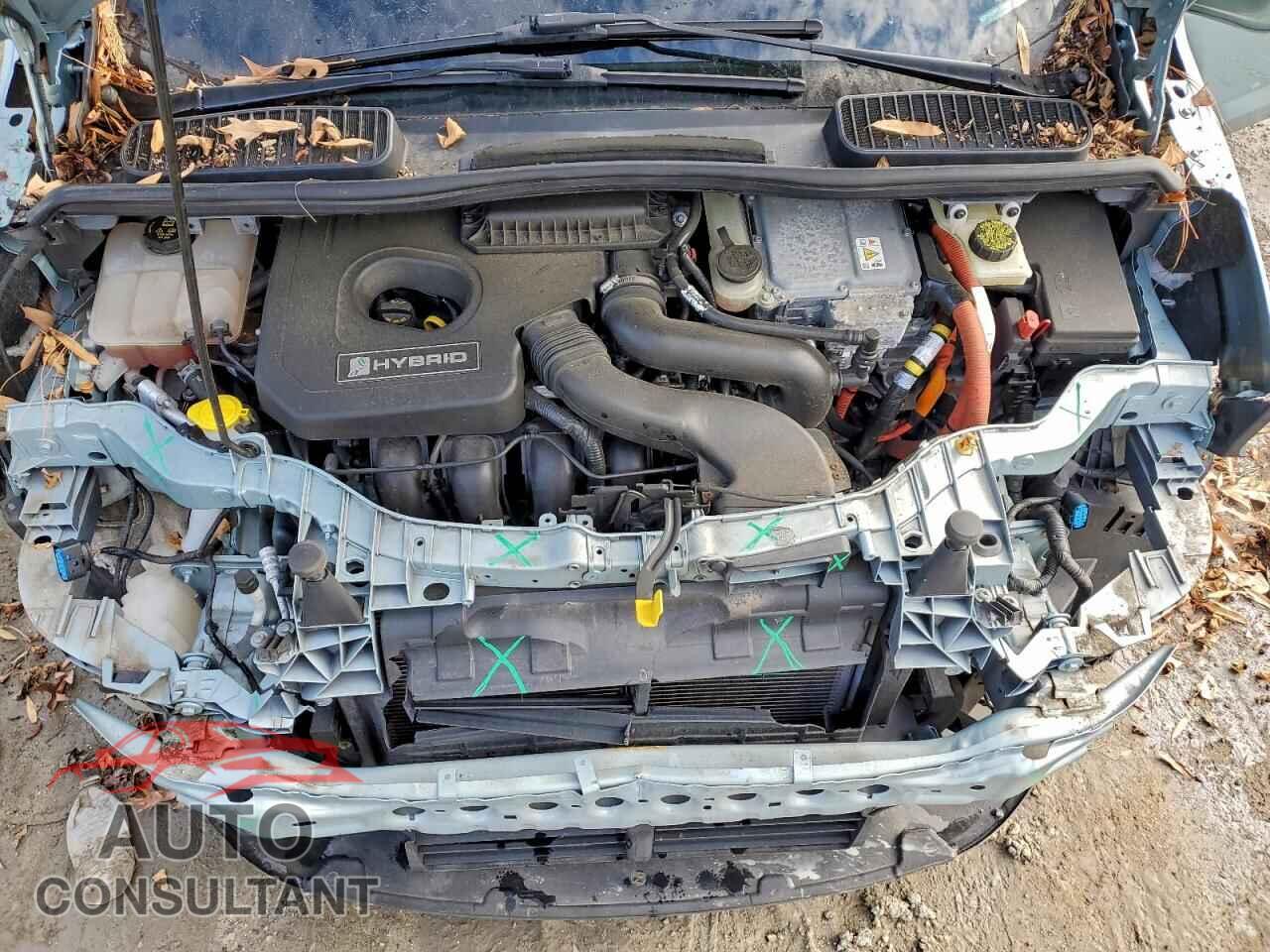 FORD CMAX 2014 - 1FADP5AU9EL519698