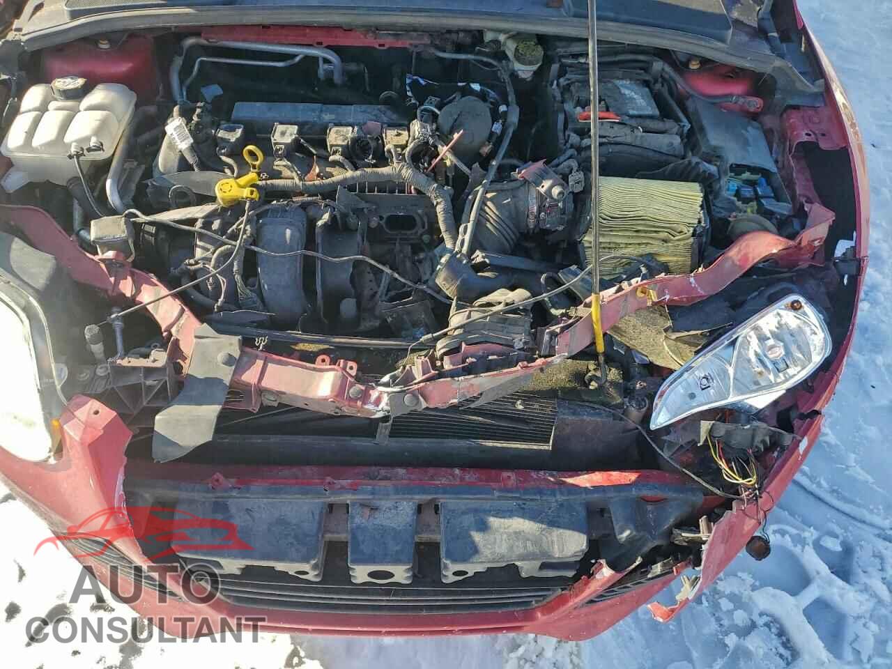 FORD FOCUS 2012 - 1FAHP3F21CL289391