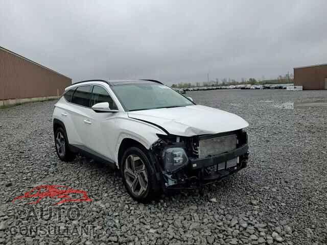 HYUNDAI TUCSON 2023 - 5NMJECAE7PH280687