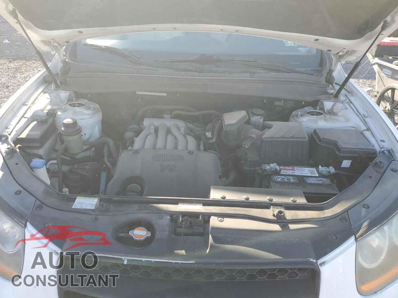 HYUNDAI SANTA FE 2009 - 5NMSG13D39H329636