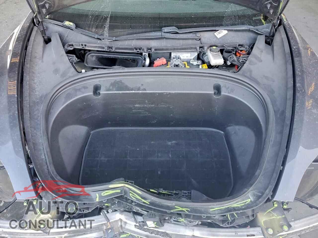TESLA MODEL 3 2019 - 5YJ3E1EB0KF385921