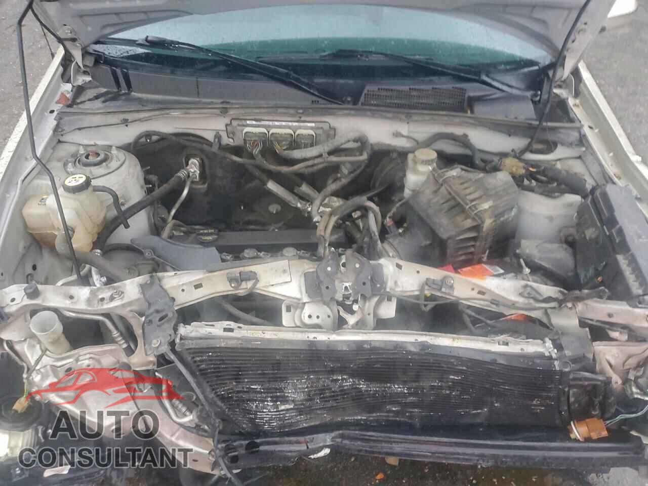 FORD ESCAPE 2011 - 1FMCU9E7XBKC52434
