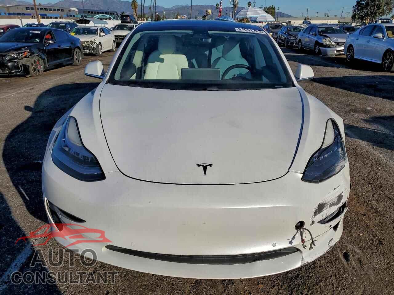 TESLA MODEL 3 2020 - 5YJ3E1EA2LF615550