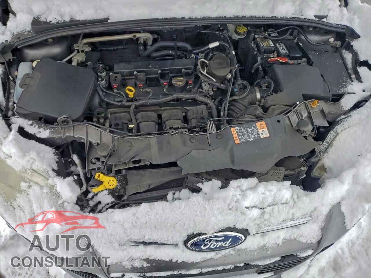 FORD FOCUS 2014 - 1FADP3K2XEL319995
