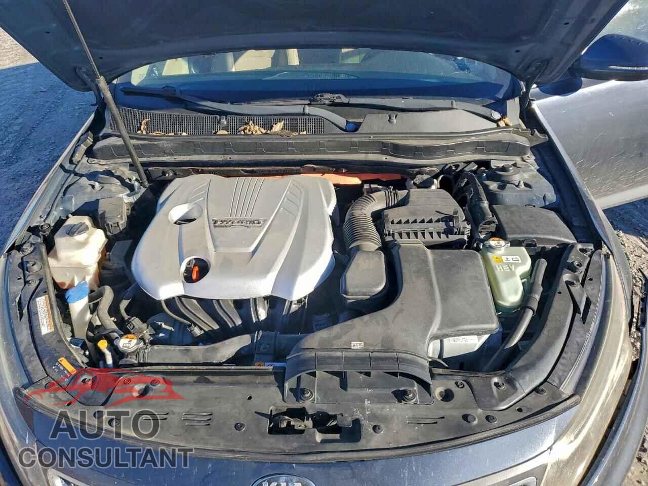 KIA OPTIMA 2014 - KNAGN4AD8E5064125