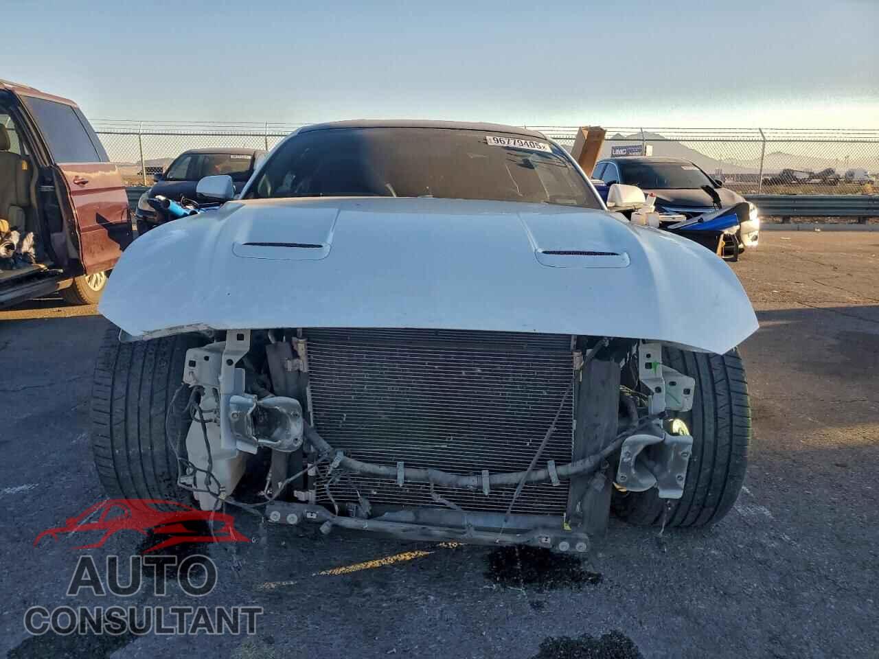 FORD MUSTANG 2019 - 1FA6P8CF8K5154214