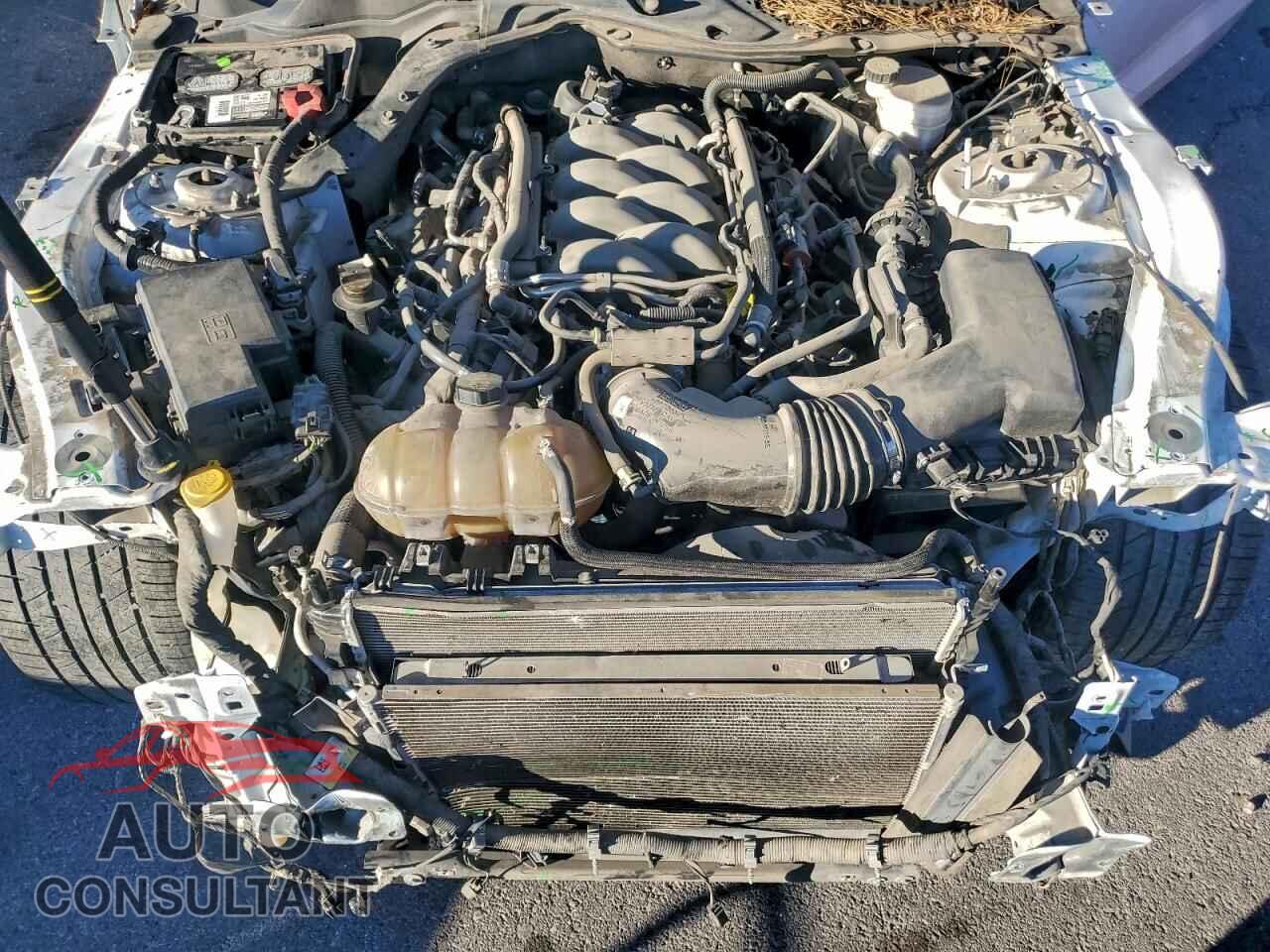 FORD MUSTANG 2019 - 1FA6P8CF8K5154214