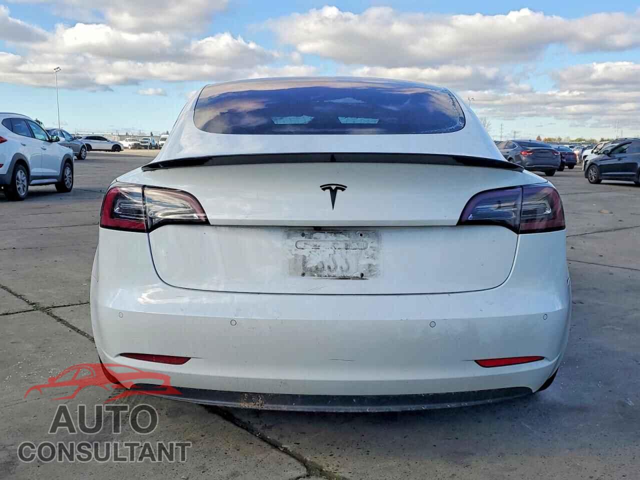 TESLA MODEL 3 2018 - 5YJ3E1EA8JF052517
