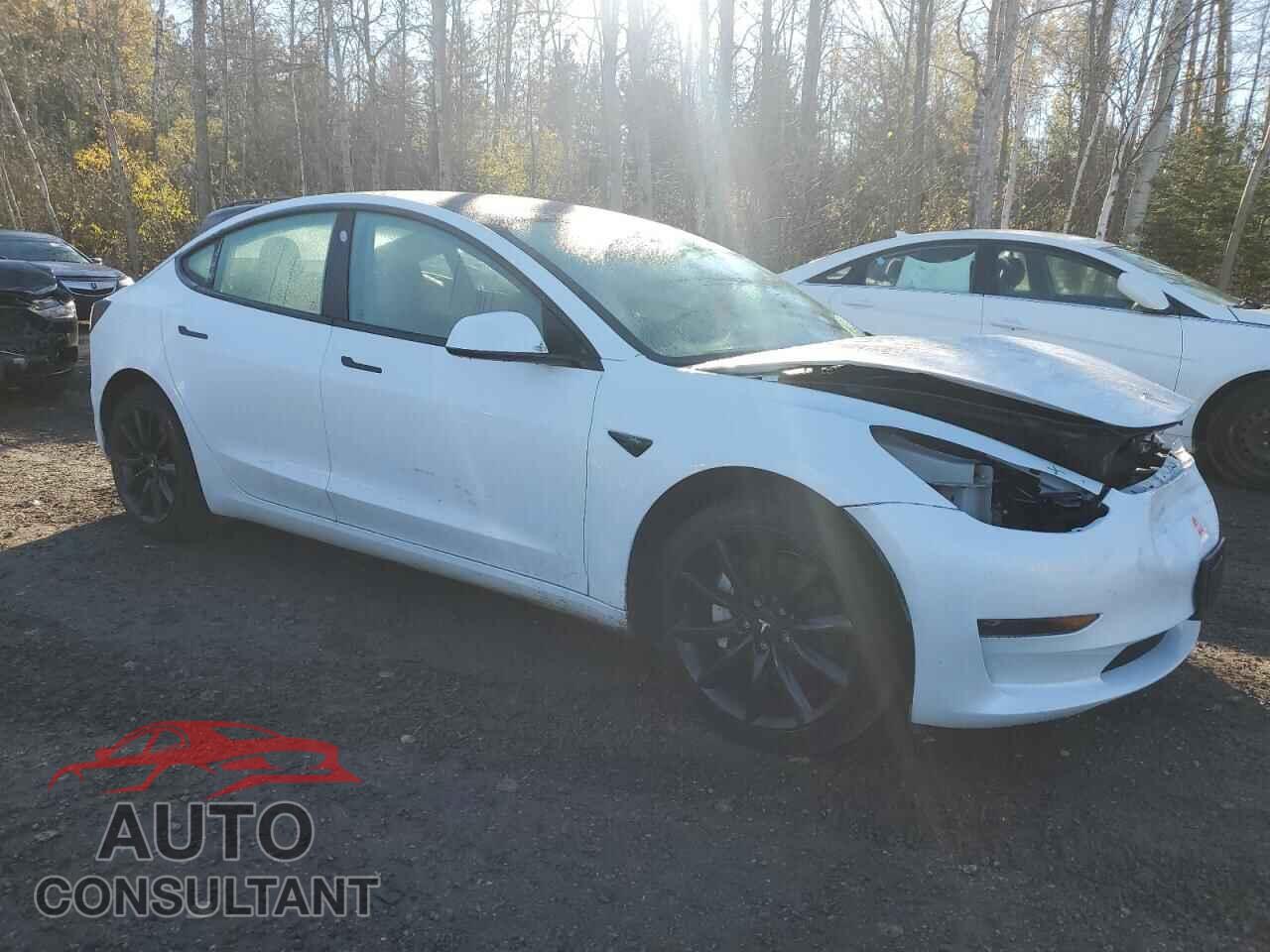 TESLA MODEL 3 2023 - LRW3E1FA6PC843047