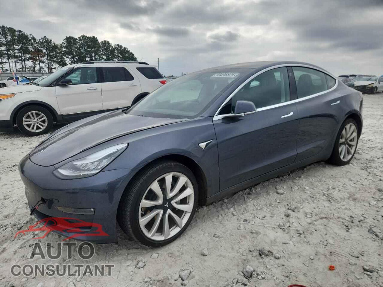 TESLA MODEL 3 2019 - 5YJ3E1EA5KF359645
