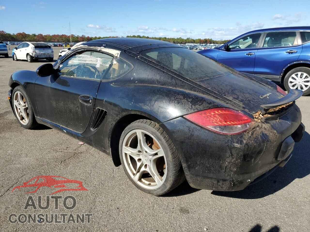 PORSCHE CAYMAN 2009 - WP0AA29859U760162
