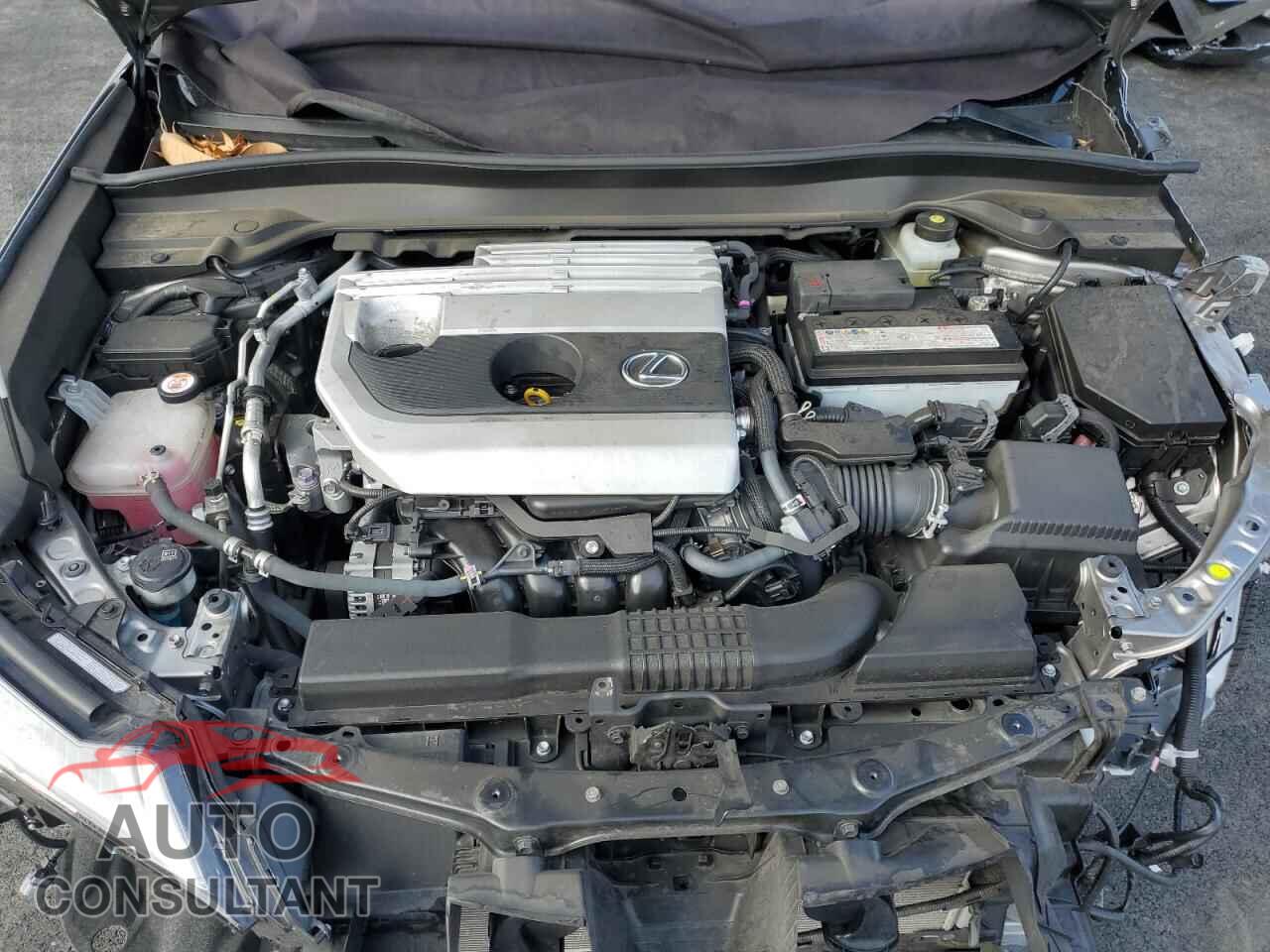 LEXUS UX 200 2019 - JTHY3JBH3K2013043