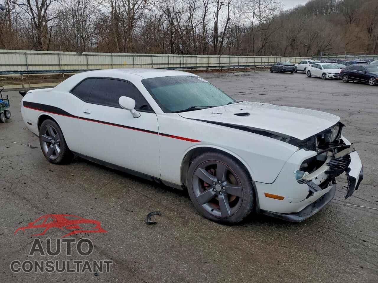 DODGE CHALLENGER 2014 - 2C3CDYBT0EH139964