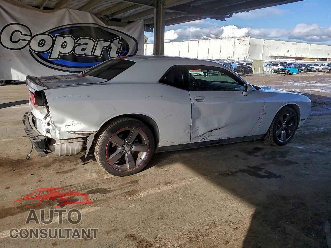 DODGE CHALLENGER 2013 - 2C3CDYAG1DH581719